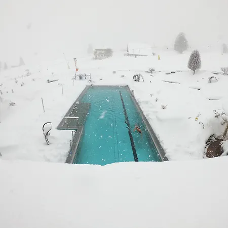 Schwaigerhof 4* Schladming